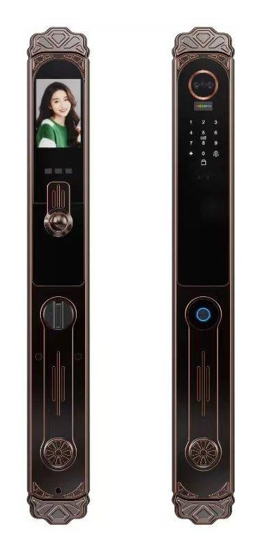 GAOYU A10 3D Face Recognition Full-Auto Smart Lock - Antique Copper Deluxe A10