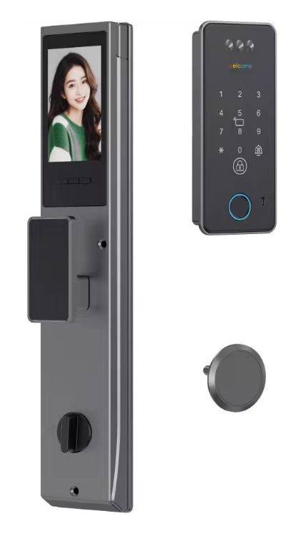 GAOYU B13 3D Face Recognition Full-Auto Smart Lock - Apple Black Slim B13